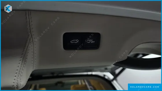 KIA CARNIVAL GASOLINE 9-SEATER LIMOUSINE(SPECIAL VEHICLE)