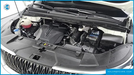KIA CARNIVAL GASOLINE 9-SEATER LIMOUSINE(SPECIAL VEHICLE)