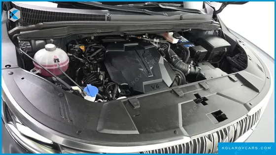 KIA CARNIVAL GASOLINE 9-SEATER LIMOUSINE(SPECIAL VEHICLE)