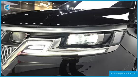 KIA CARNIVAL GASOLINE 9-SEATER LIMOUSINE(SPECIAL VEHICLE)