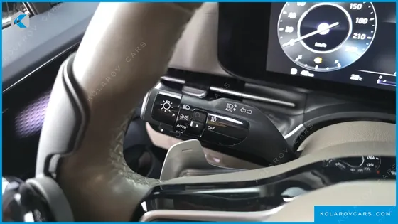 KIA CARNIVAL GASOLINE 9-SEATER LIMOUSINE(SPECIAL VEHICLE)