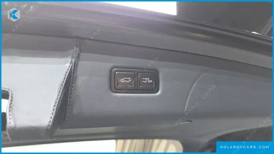 KIA CARNIVAL GASOLINE 9-SEATER LIMOUSINE(SPECIAL VEHICLE)