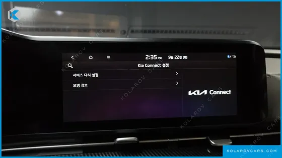 KIA CARNIVAL GASOLINE 4-SEATER HI-LIMOUSINE