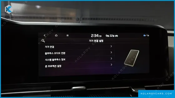 KIA CARNIVAL GASOLINE 4-SEATER HI-LIMOUSINE