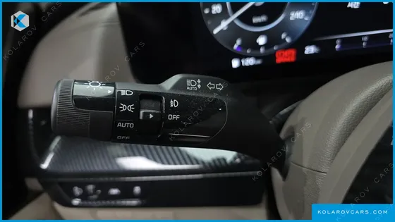 KIA CARNIVAL GASOLINE 4-SEATER HI-LIMOUSINE
