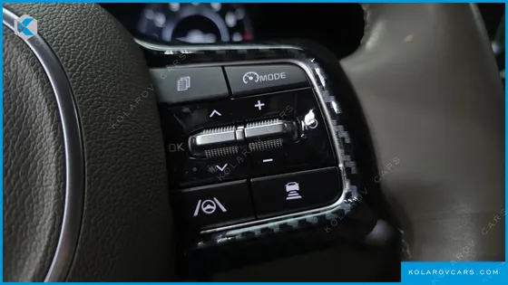 KIA CARNIVAL GASOLINE 4-SEATER HI-LIMOUSINE