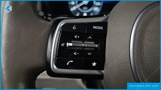 KIA CARNIVAL GASOLINE 9-SEATER SIGNATURE