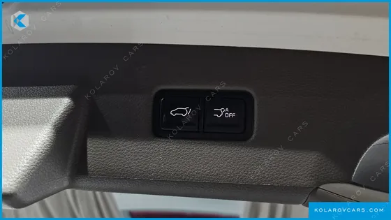 KIA CARNIVAL GASOLINE 9-SEATER SIGNATURE