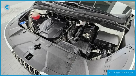 KIA CARNIVAL GASOLINE 9-SEATER HI-LIMOUSINE