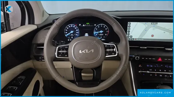 KIA CARNIVAL GASOLINE 9-SEATER LIMOUSINE(SPECIAL VEHICLE)