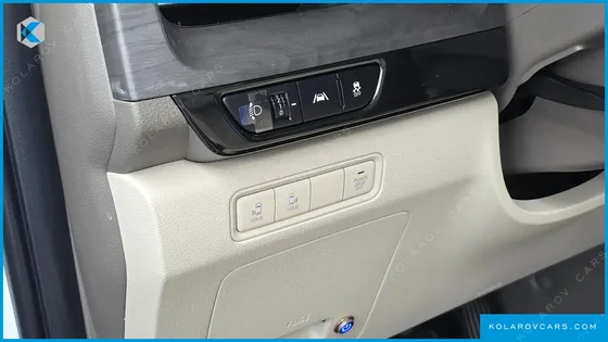 KIA CARNIVAL GASOLINE 9-SEATER LIMOUSINE(SPECIAL VEHICLE)
