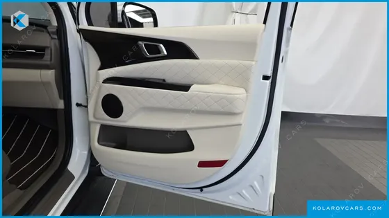 KIA CARNIVAL GASOLINE 9-SEATER LIMOUSINE(SPECIAL VEHICLE)