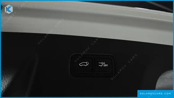 KIA CARNIVAL GASOLINE 7-SEATER SIGNATURE