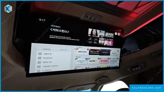 KIA CARNIVAL GASOLINE 9-SEATER LIMOUSINE(SPECIAL VEHICLE)