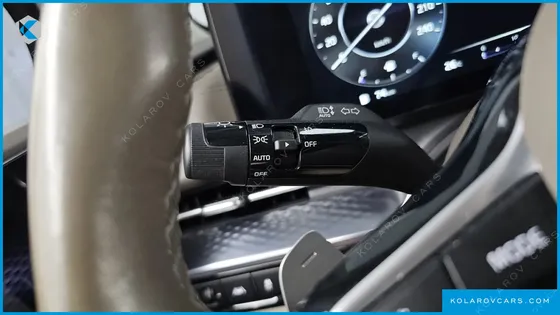 KIA CARNIVAL GASOLINE 9-SEATER HI-LIMOUSINE