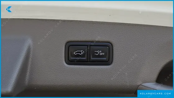 KIA CARNIVAL GASOLINE 9-SEATER HI-LIMOUSINE