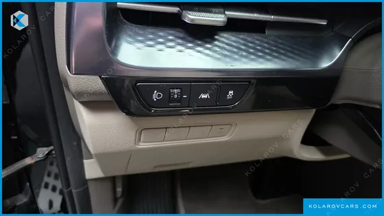 KIA CARNIVAL GASOLINE 9-SEATER HI-LIMOUSINE