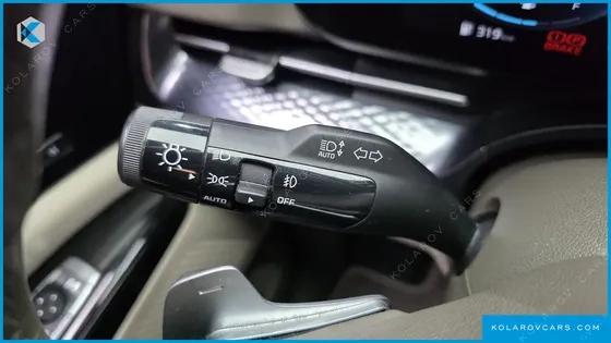 KIA CARNIVAL GASOLINE 9-SEATER HI-LIMOUSINE