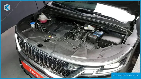 KIA CARNIVAL GASOLINE 7-SEATER LIMOUSINE(SPECIAL VEHICLE)
