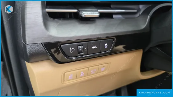 KIA CARNIVAL DIESEL 9-SEATER SIGNATURE