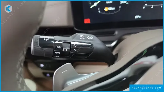 KIA CARNIVAL GASOLINE 9-SEATER HI LIMOUSINE (7-SEATER LIMOUSINE(SPECIAL VEHICLE)