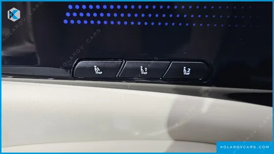 KIA CARNIVAL GASOLINE 7-SEATER HI LIMOUSINE