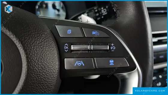 HYUNDAI PALISADE DIESEL 2.2 2WD