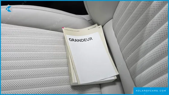 HYUNDAI GRANDEUR 3.5 GASOLINE 2WD