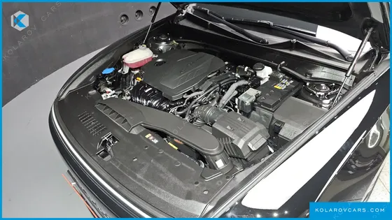 HYUNDAI GRANDEUR 2,5 GASOLINE 2WD