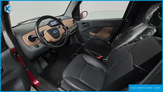 OTHER MANUFACTURERS OTHER PASSENGER CARS OTHERS EV