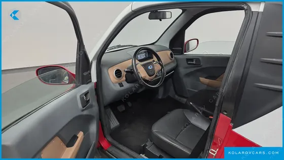 OTHER MANUFACTURERS OTHER PASSENGER CARS OTHERS EV