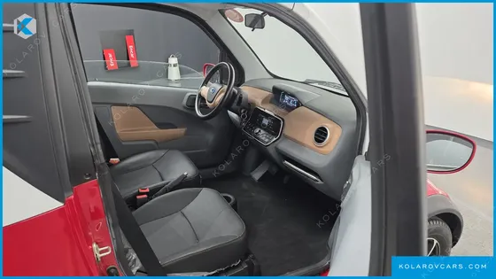 OTHER MANUFACTURERS OTHER PASSENGER CARS OTHERS EV