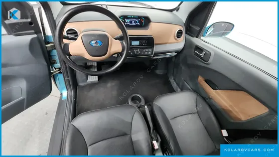 OTHER MANUFACTURERS OTHER PASSENGER CARS OTHERS EV