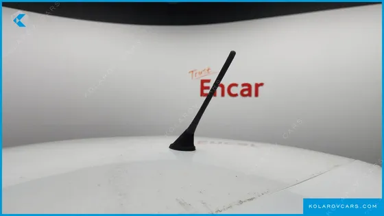 OTHER MANUFACTURERS OTHER PASSENGER CARS OTHERS EV