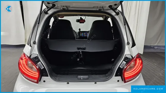 OTHER MANUFACTURERS OTHER PASSENGER CARS OTHERS EV