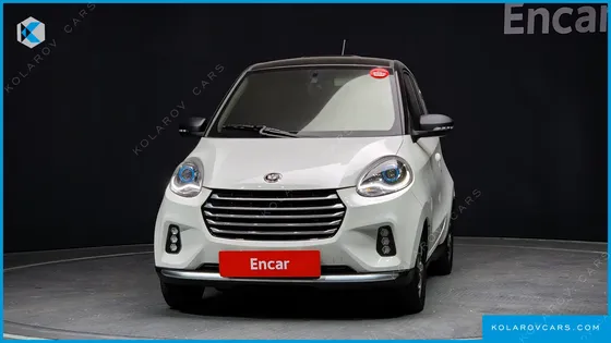 OTHER MANUFACTURERS OTHER PASSENGER CARS OTHERS EV