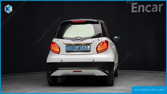 OTHER MANUFACTURERS OTHER PASSENGER CARS OTHERS EV