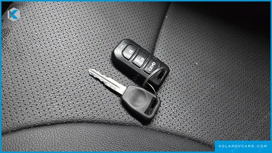 OTHER MANUFACTURERS OTHER PASSENGER CARS OTHERS EV