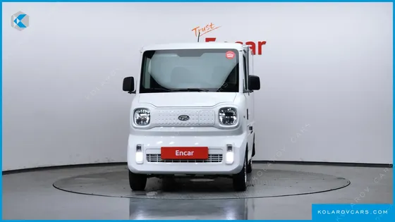 OTHER MANUFACTURERS OTHER PASSENGER CARS OTHERS EV