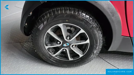 OTHER MANUFACTURERS OTHER PASSENGER CARS OTHERS EV
