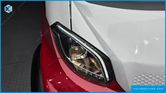 OTHER MANUFACTURERS OTHER PASSENGER CARS OTHERS EV