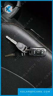OTHER MANUFACTURERS OTHER PASSENGER CARS OTHERS EV