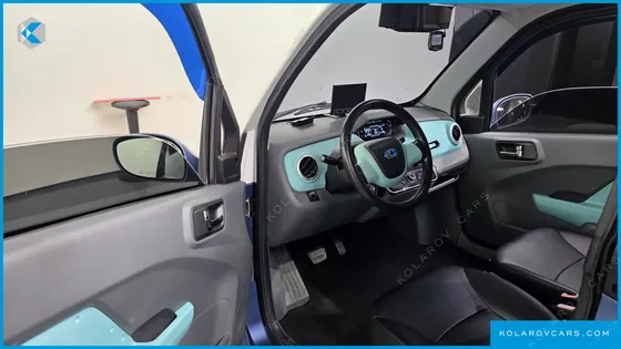 OTHER MANUFACTURERS OTHER PASSENGER CARS OTHERS EV