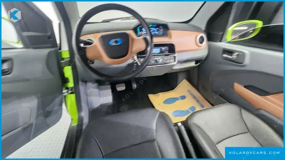 OTHER MANUFACTURERS OTHER PASSENGER CARS OTHERS EV