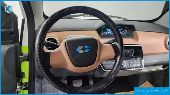 OTHER MANUFACTURERS OTHER PASSENGER CARS OTHERS EV