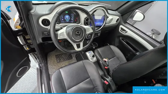 OTHER MANUFACTURERS OTHER PASSENGER CARS OTHERS EV
