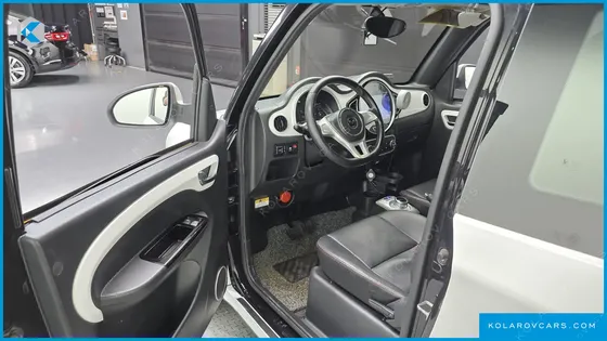 OTHER MANUFACTURERS OTHER PASSENGER CARS OTHERS EV
