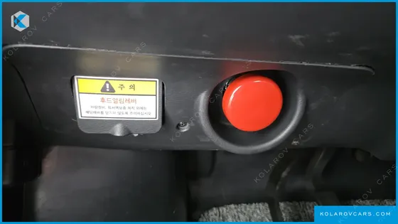 OTHER MANUFACTURERS OTHER PASSENGER CARS OTHERS EV