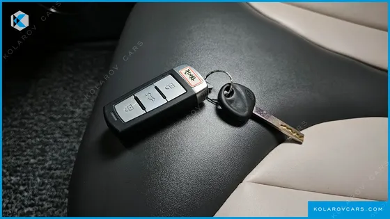 OTHER MANUFACTURERS OTHER PASSENGER CARS OTHERS EV