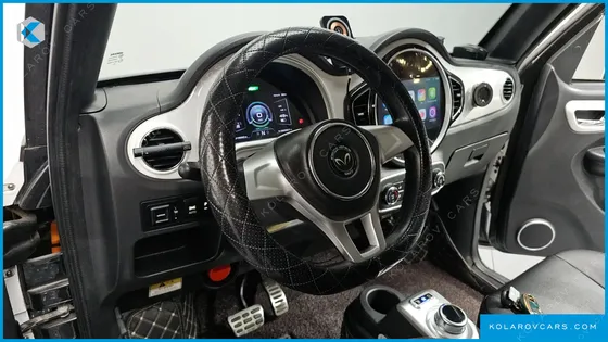 OTHER MANUFACTURERS OTHER PASSENGER CARS OTHERS EV